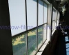 Milk-White Privacy Film DLX-01-01W.