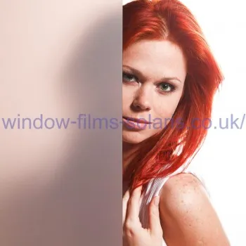 Bronze Matte Privacy Film DLX 01/02