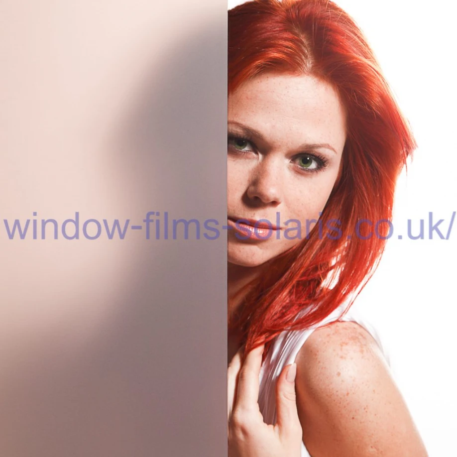 Bronze Matte Privacy Film DLX 01/02