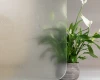 FG- Clear bubble textured film