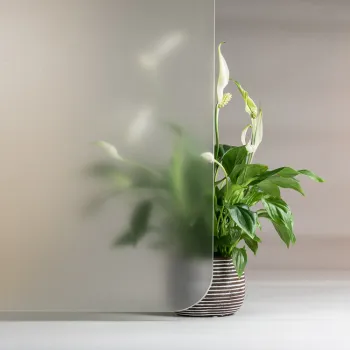 FG-EC-Etched clear-matt
