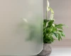 White Etched Glass Film Cut to Size – FG-EW