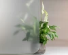 Light Grey Frost Privacy Film – FG-K/302